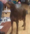 Madeline 2011-11-11B