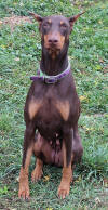 Mingo 2013-10-29C