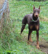 Mingo 2013-10-29E