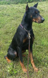 Charlie 02