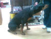 Otto 2011-11-11A