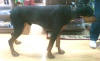 Otto 2011-11-11B