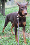 Sampson Picture 10/29/2013A