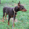 Sampson Picture 10/29/2013C