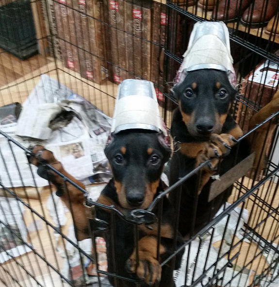Coneheads